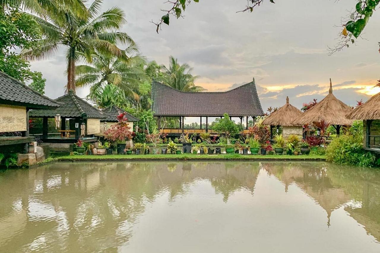 Lesehan Cahaya Tetebatu Inn Syariah At Desa Wisata 外观 照片