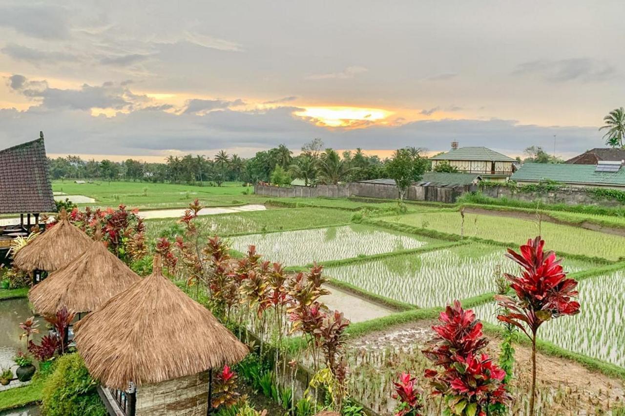 Lesehan Cahaya Tetebatu Inn Syariah At Desa Wisata 外观 照片