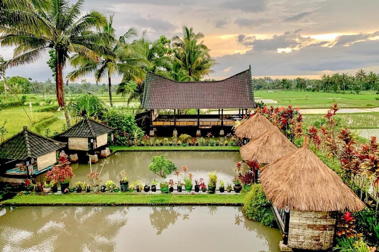 Lesehan Cahaya Tetebatu Inn Syariah At Desa Wisata 外观 照片