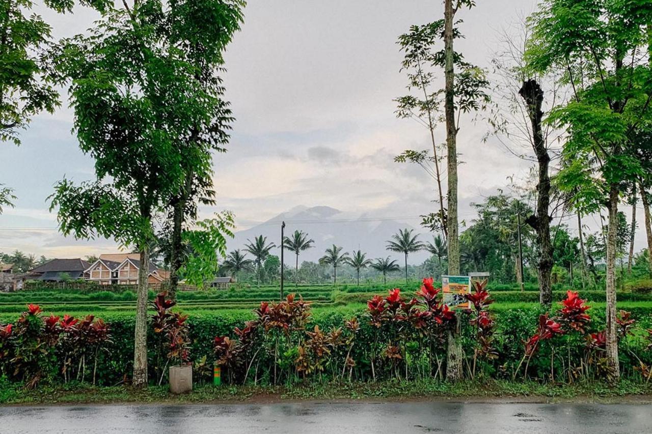 Lesehan Cahaya Tetebatu Inn Syariah At Desa Wisata 外观 照片